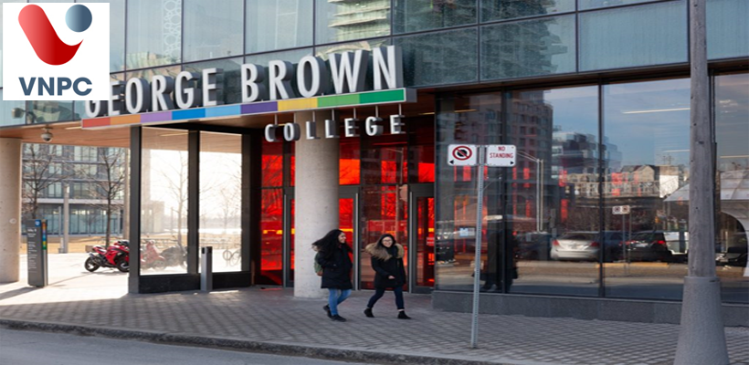 Du học Úc ngành kinh doanh tại trường George Brown College
