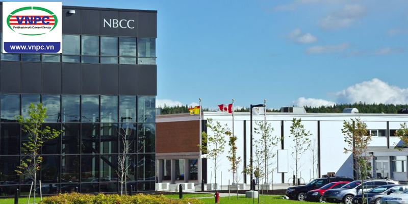 Khám phá Canada thu nhỏ tại cao đẳng cộng đồng New Brunswick