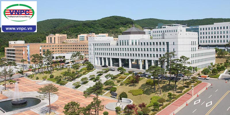 Khám phá đại học Dankook, trường đại học lớn nhất Hàn Quốc