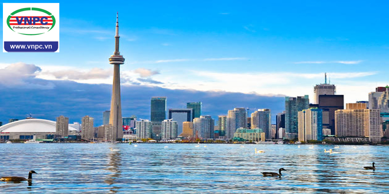 Khám phá những thành phố học tập tốt nhất tại Canada 2018