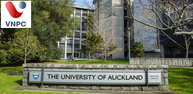 Khởi động đường đua học bổng lớn nhất từ đại học Auckland số 1 New Zealand