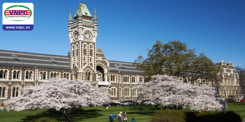 Môi trường học tập lý tưởng tại trường đại học lâu đời nhất New Zealand - đại học Otago 