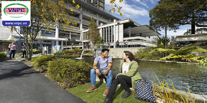 Những ngành học lọt top thế giới của 8 trường đại học hàng đầu New Zealand