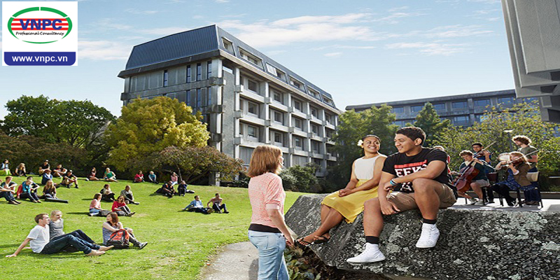 Săn học bổng du học New Zealand kỳ mùa xuân 2019 bạn đã sẵn sàng?