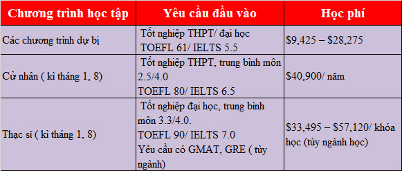 Săn học bổng du học Mỹ lên đến 50% không cần SAT/ACT