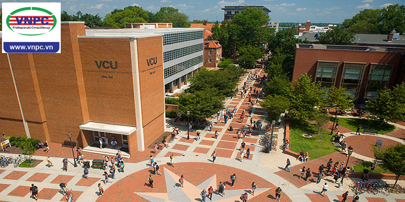 Tại sao nên du học Mỹ 2018 trường Đại học Liên bang Virginia (VCU)