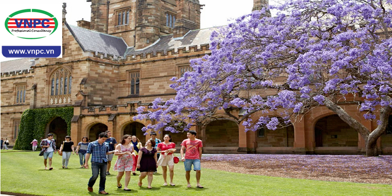 Thứ hạng cao nhất của trường đại học Sydney trên các bảng xếp hạng giáo dục thế giới