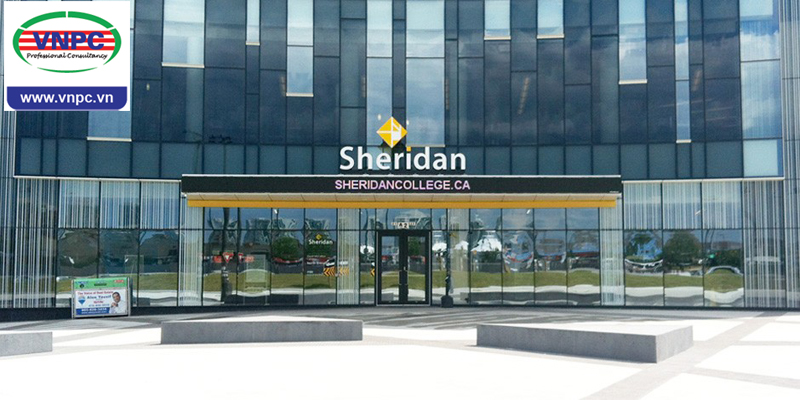 Du học Canada 2018: Tìm hiểu chương trình cao đẳng quản trị kinh doanh - Marketing tại Sheridan College