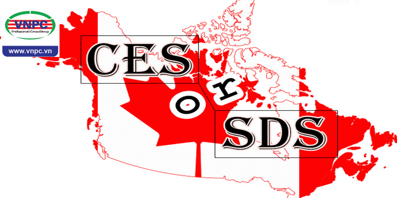 Du học Canada 2018: Tìm hiểu ngay điểm khác biệt giữa chương trình CES và SDS