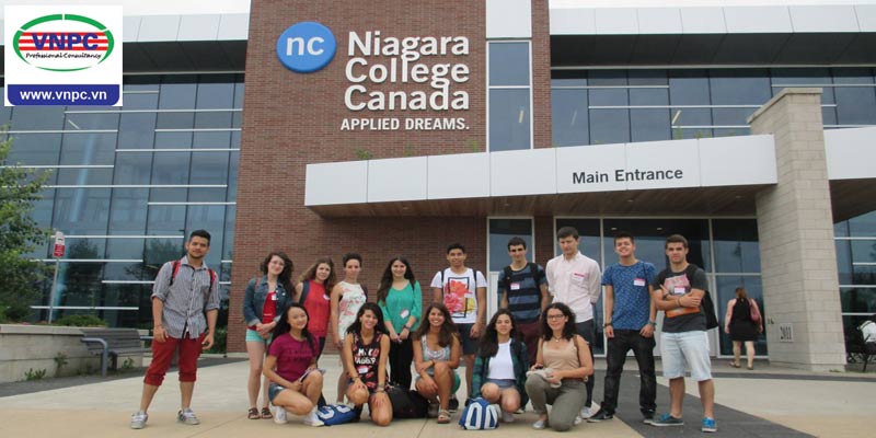Tổng hợp các chương trình đào tạo của Niagara College