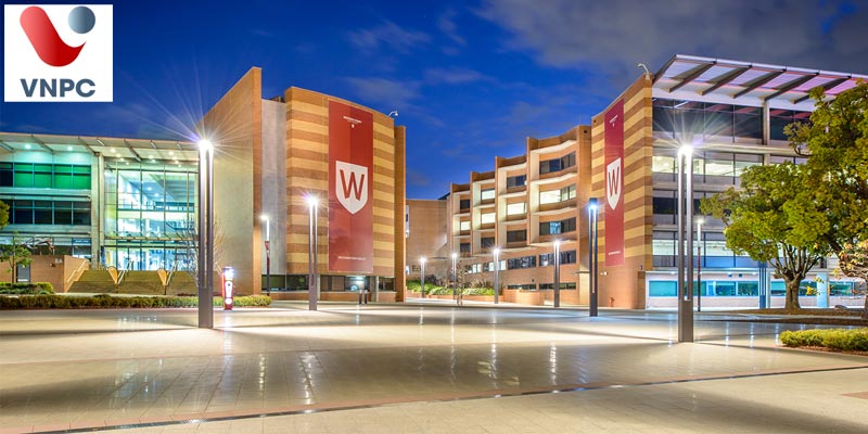 Trải nghiệm chất lượng giáo dục tuyệt vời ở trường đại học Tây Sydney