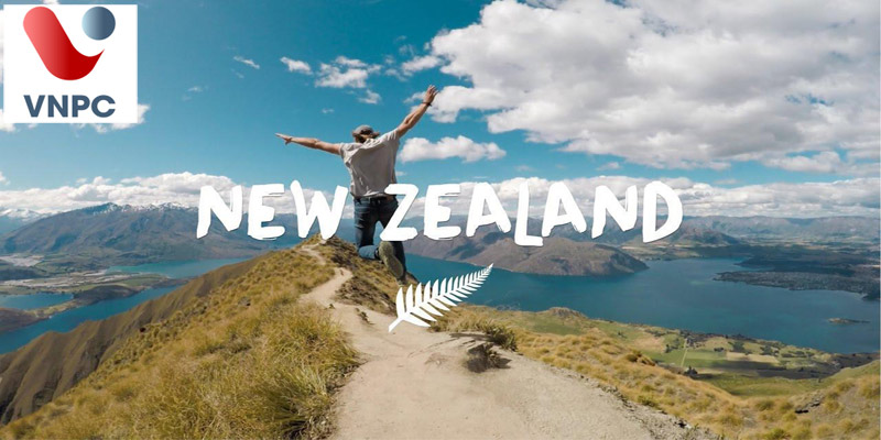 Xin visa du học New Zealand có lâu không? Có yêu cầu chứng minh tài chính và IELTS không? 