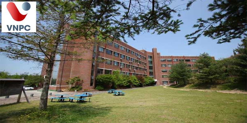 Đại học Youngdong: Chi phí, học bổng và chương trình đào tạo