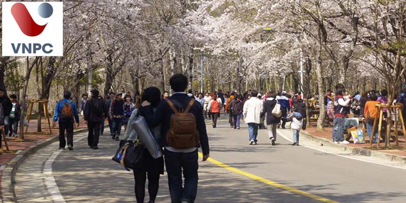 Làm thêm tại Hàn Quốc đối với sinh viên thường sẽ làm những công việc gì?