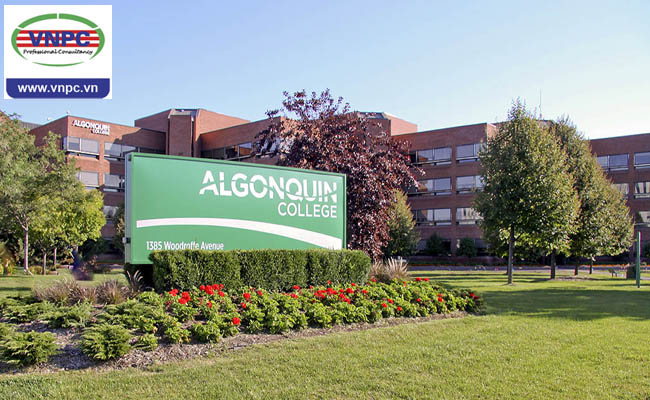 Du học Canada: Algonquin College và cơ hội khởi nghiệp tại Ottawa