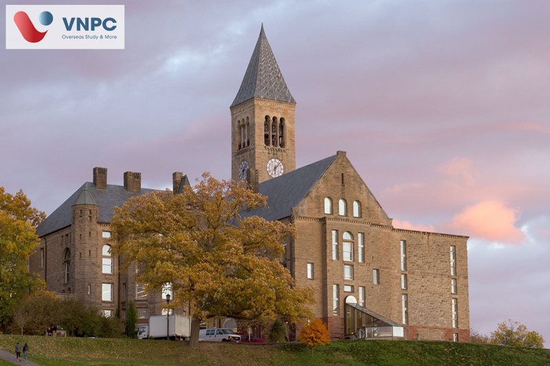 trường đại học ở mỹ